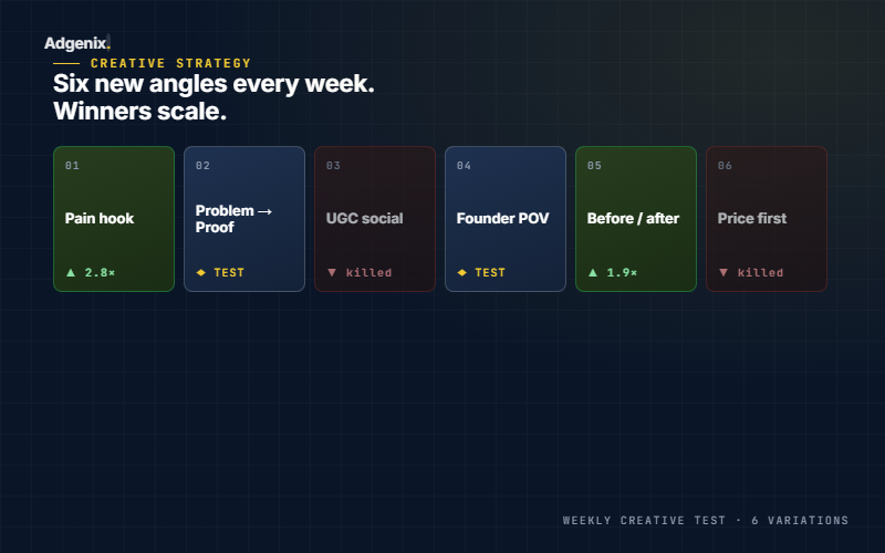 Six Meta Ads creative variations tested weekly by Adgenix